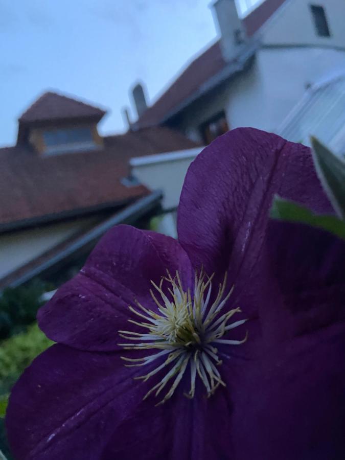 Oberwoelz Stadt 摩尔恩旅馆酒店 外观 照片